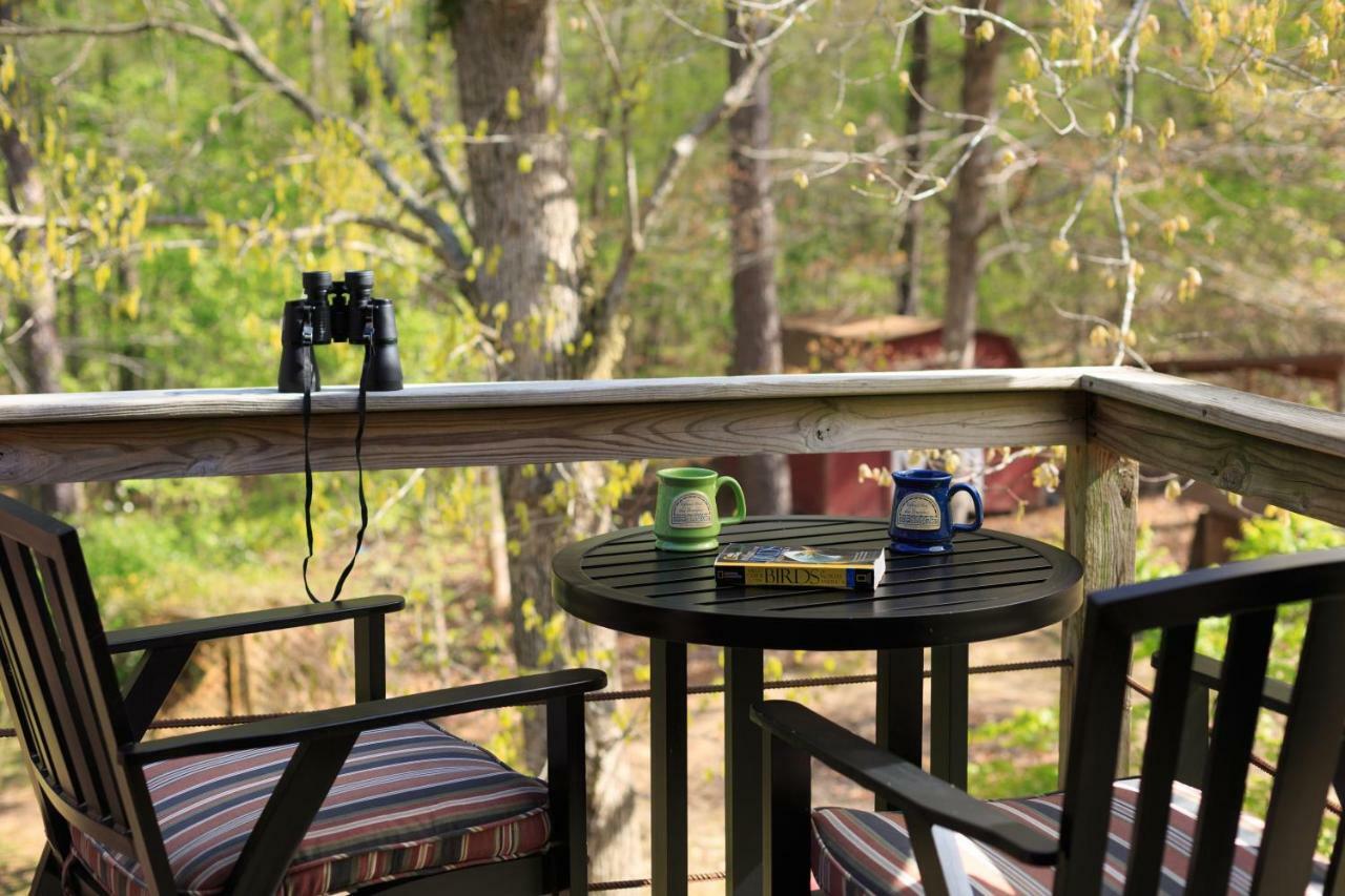 Tiffany'S Bed And Breakfast Bismarck Exterior photo